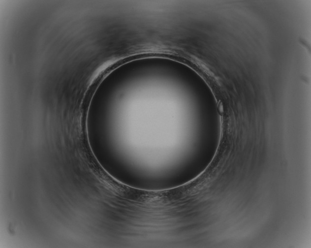 X0000091701222200708311046