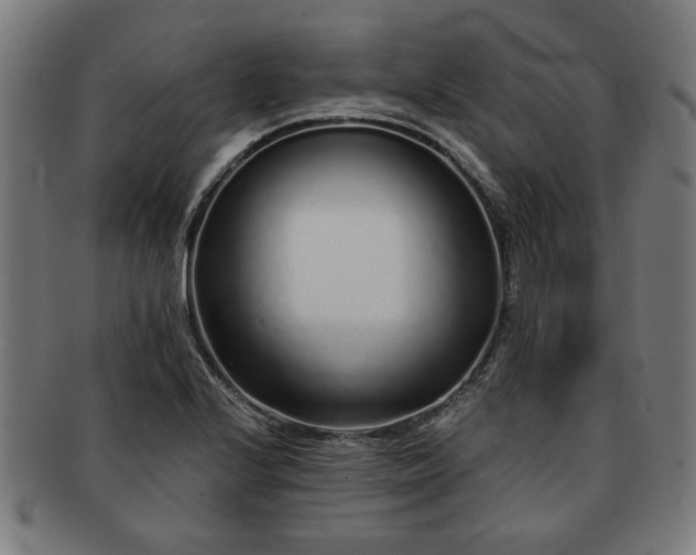 X0000091701224200708311046