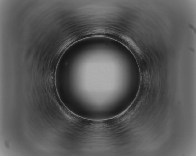 X0000091701225200708311046