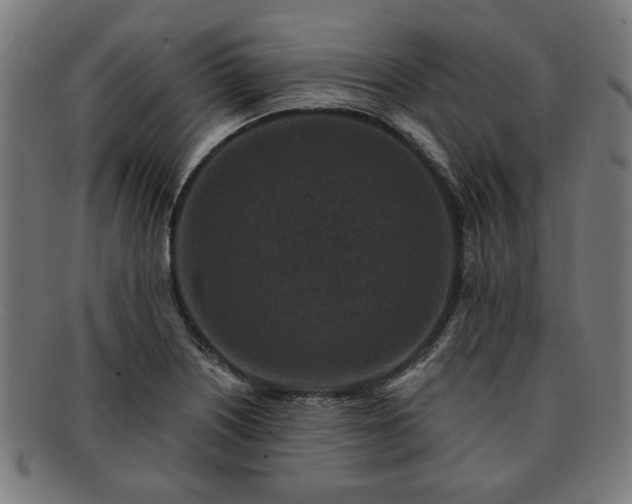 X0000091701226200708311046
