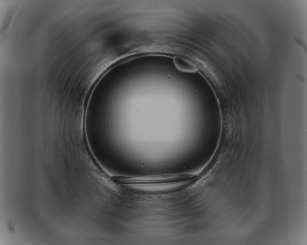 X0000091701228200708311046