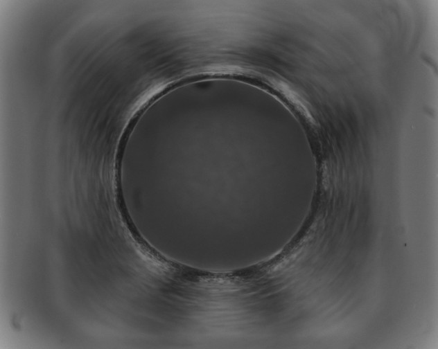 X0000091701229200708311046