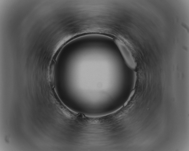 X0000091701230200708311046