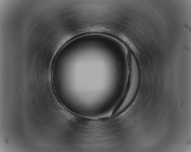 X0000091701232200708311046