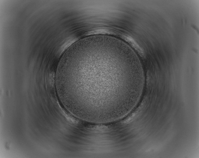X0000091701233200708311046