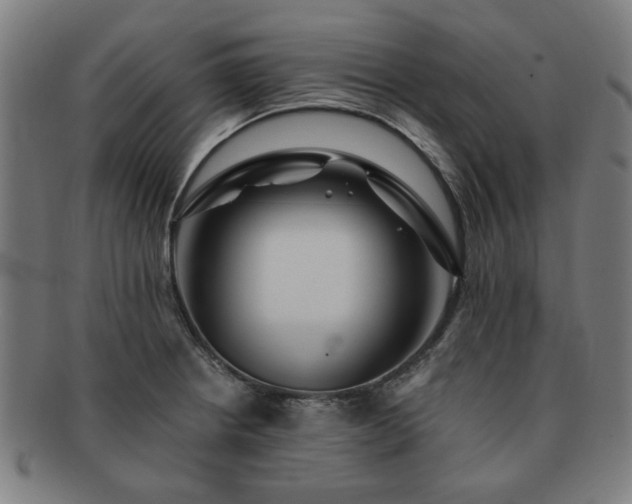 X0000091701234200708311046