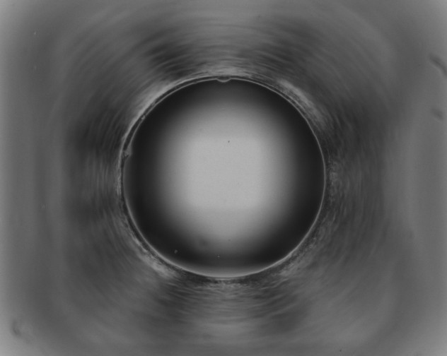 X0000091701236200708311046
