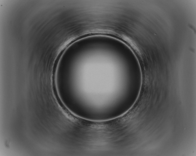 X0000091701237200708311046