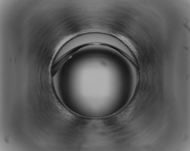 X0000091701238200708311046