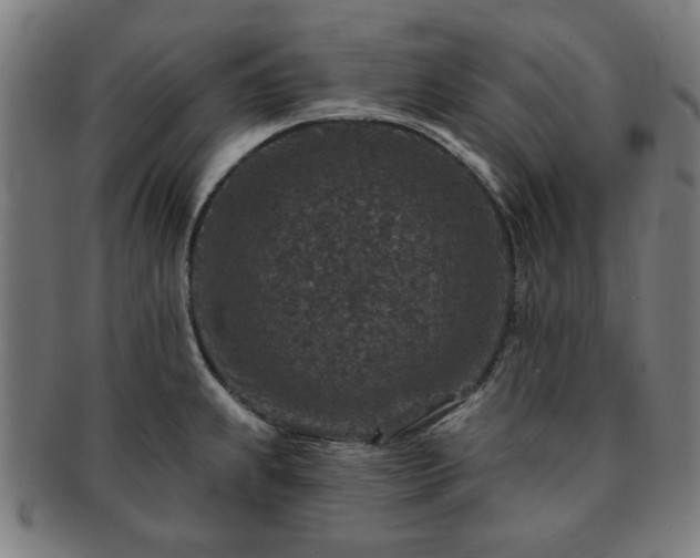 X0000091701239200708311046
