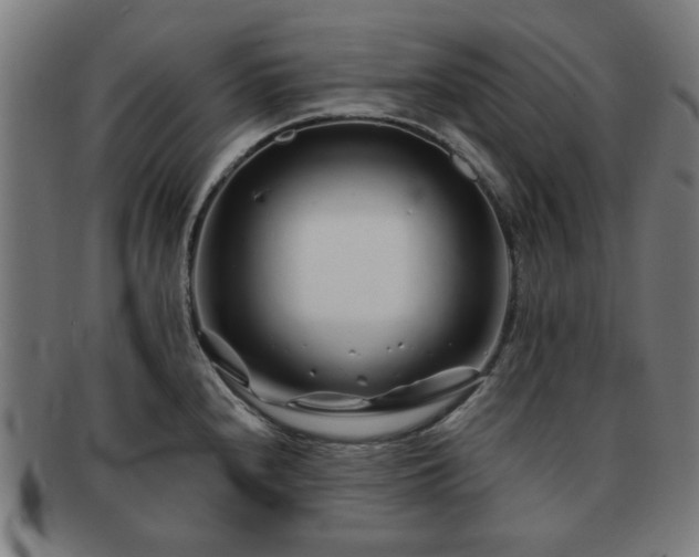 X0000091701240200708311046