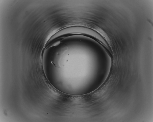 X0000091701242200708311046