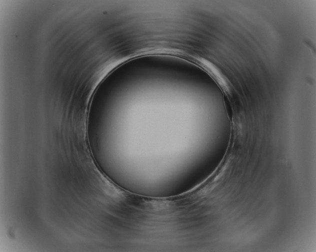 X0000091701244200708311046