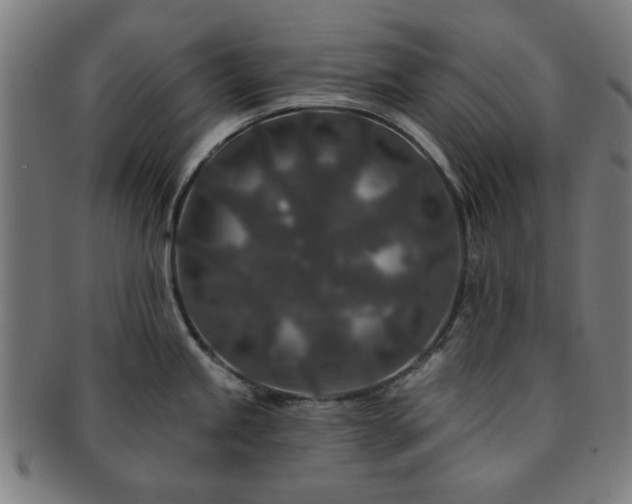 X0000091701245200708311046