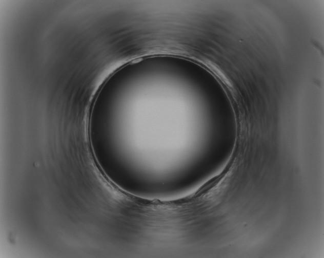 X0000091701246200708311046