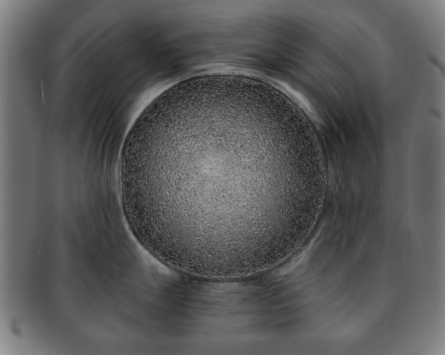 X0000091701247200708311046
