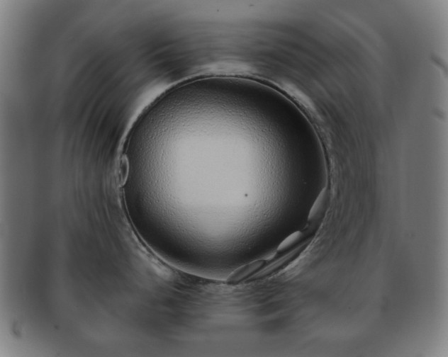 X0000091701248200708311046