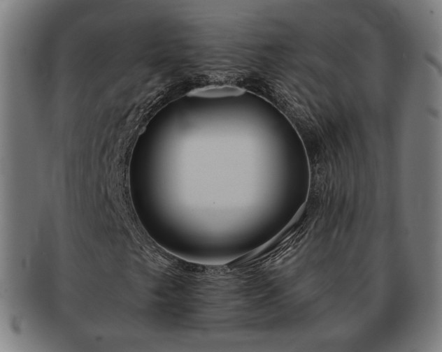 X0000091701249200708311045