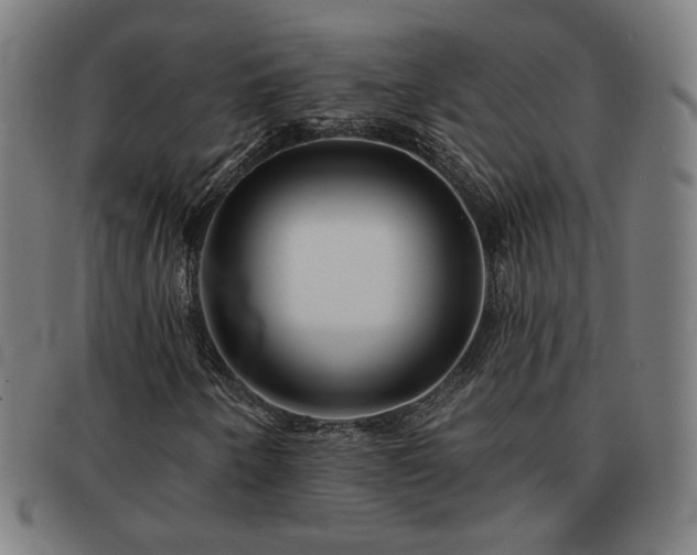 X0000091701250200708311045