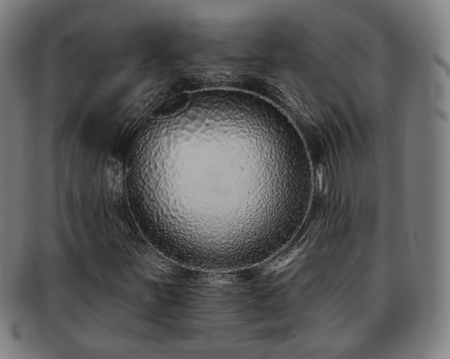 X0000091701251200708311045
