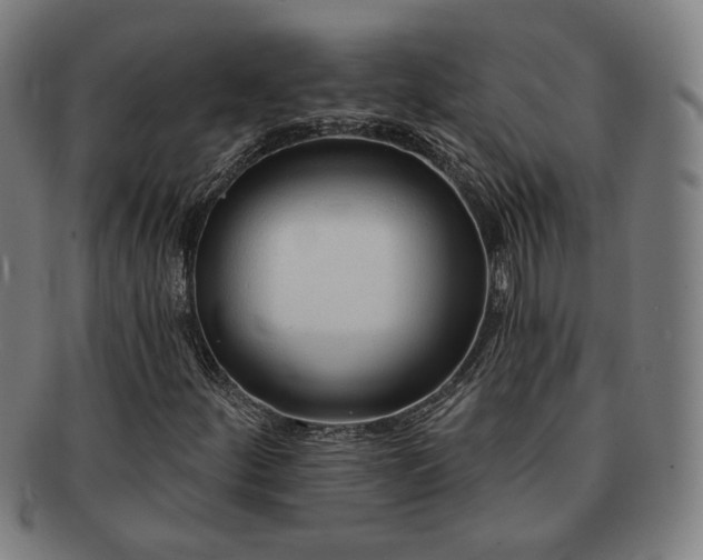 X0000091701252200708311045