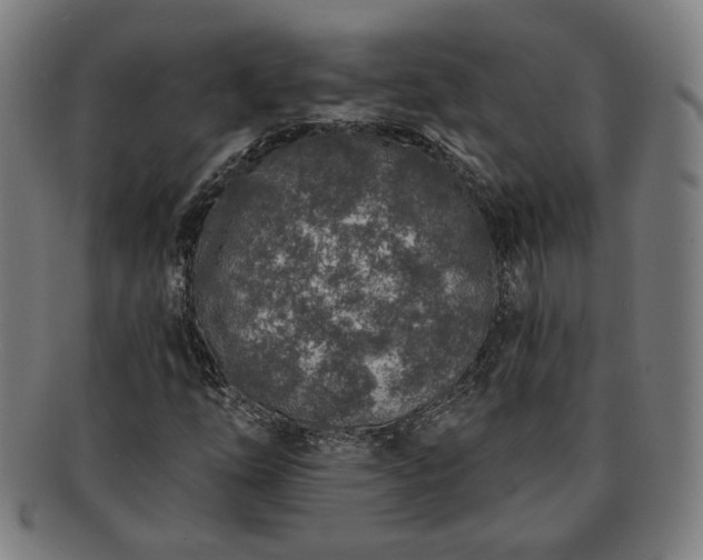 X0000091701254200708311045