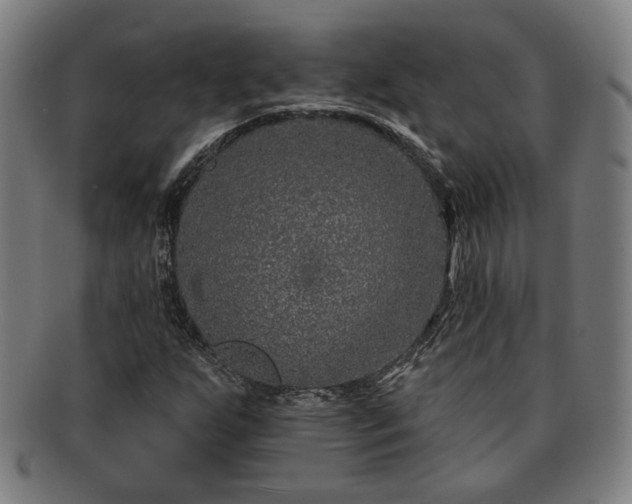 X0000091701255200708311045