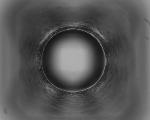 X0000091701256200708311045