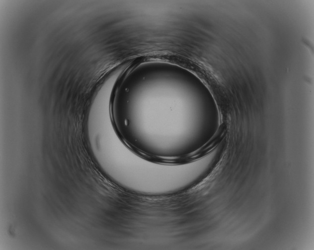 X0000091701257200708311045
