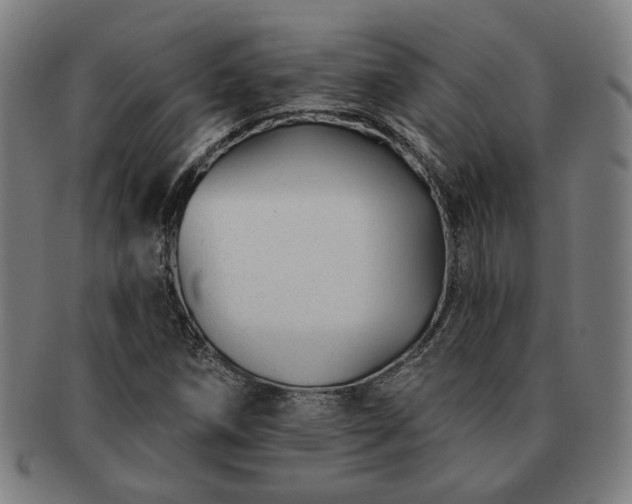 X0000091701258200708311045