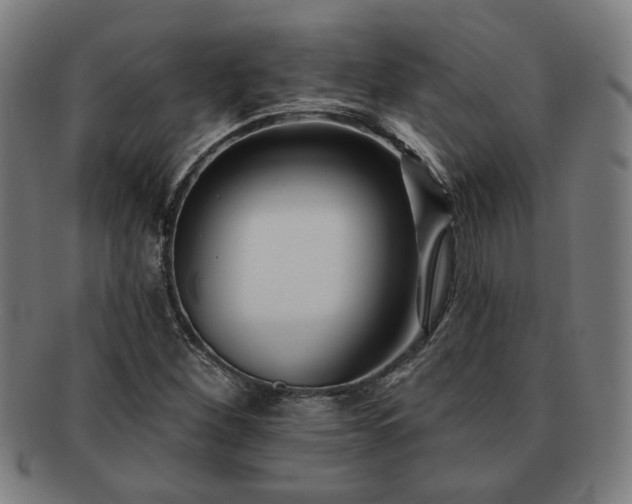 X0000091701260200708311045
