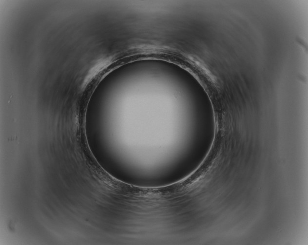 X0000091701261200708311045