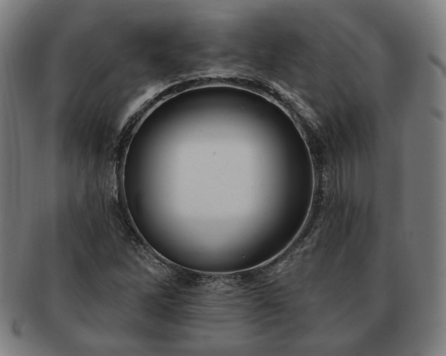 X0000091701262200708311045