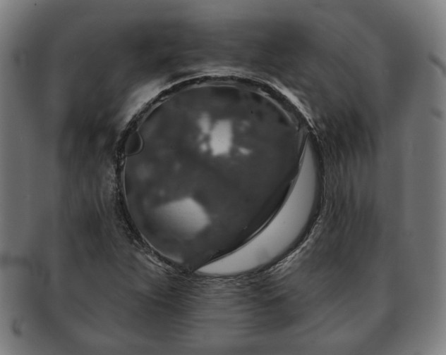 X0000091701263200708311045