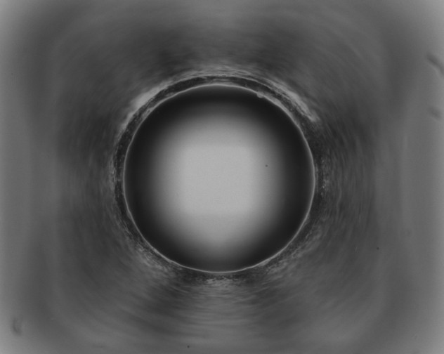 X0000091701264200708311045