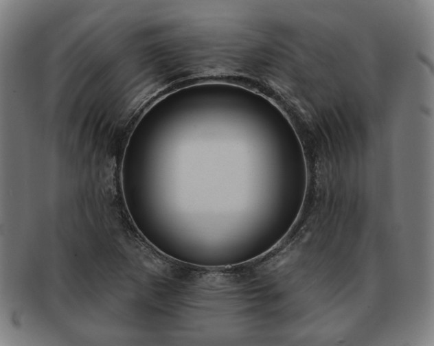 X0000091701265200708311045