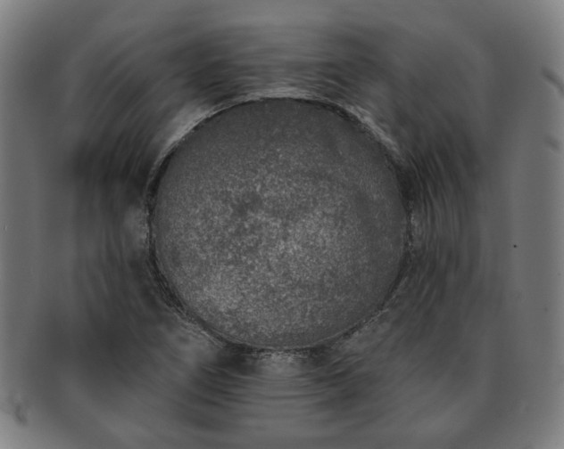 X0000091701266200708311045