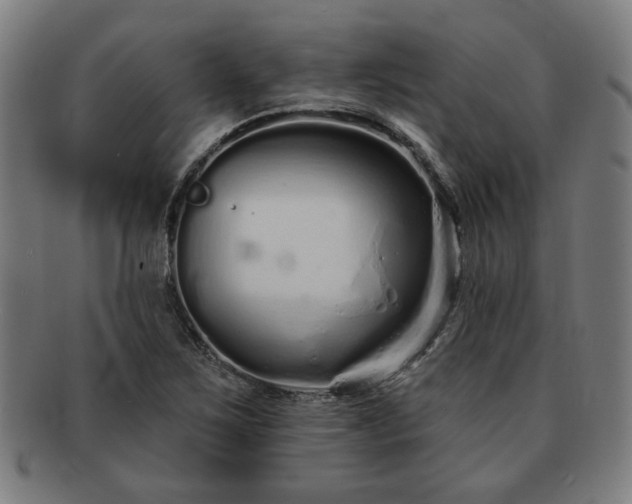 X0000091701267200708311045