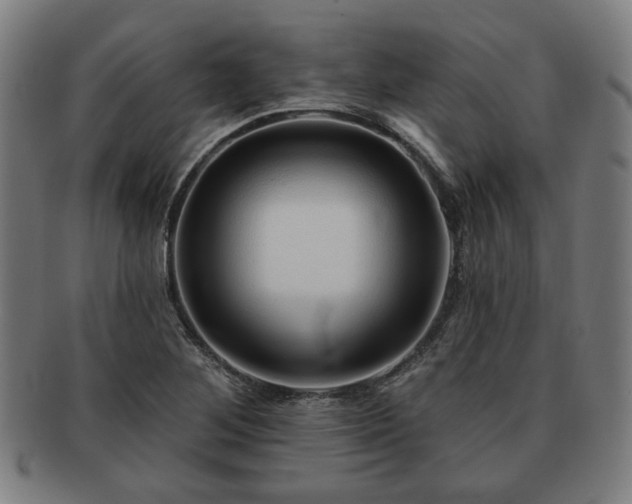 X0000091701268200708311045