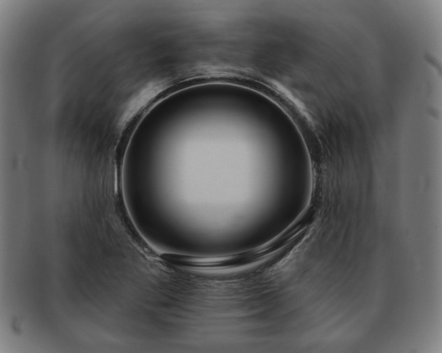 X0000091701269200708311045