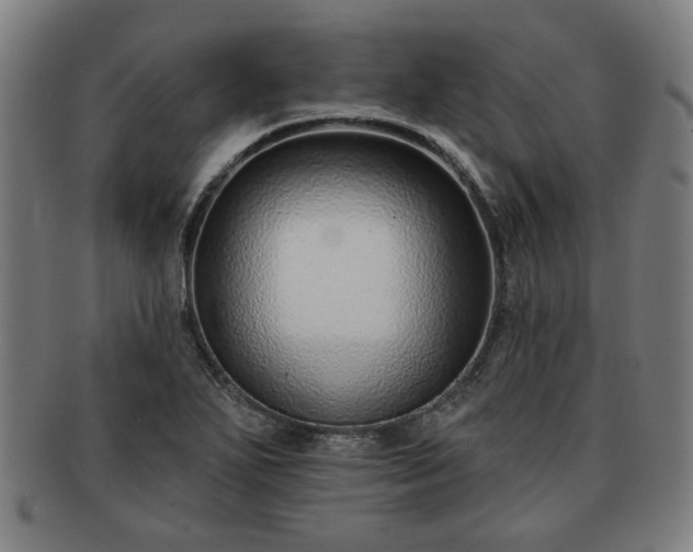 X0000091701271200708311045