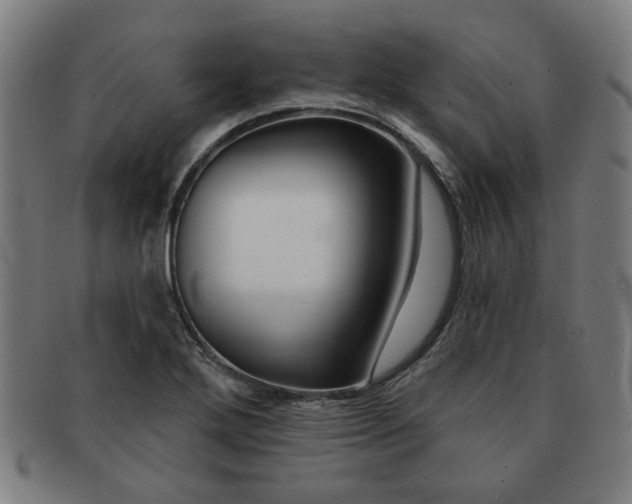 X0000091701272200708311045