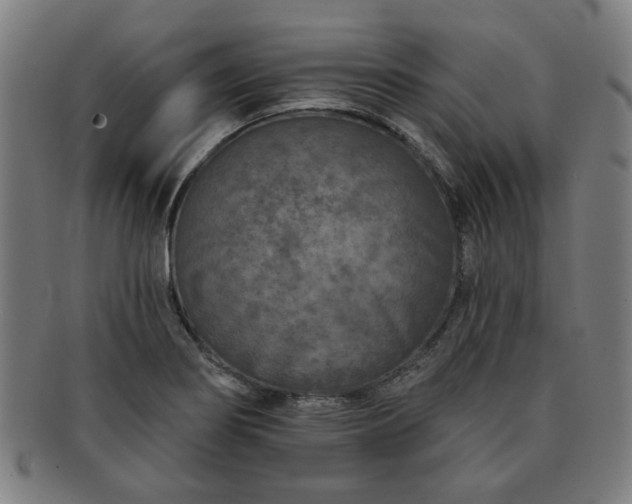X0000091701274200708311045