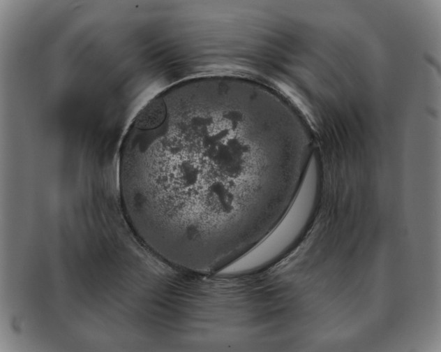 X0000091701275200708311045