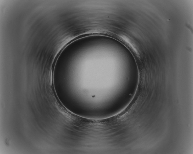 X0000091701276200708311045