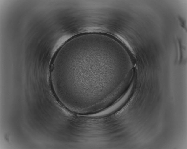 X0000091701277200708311045