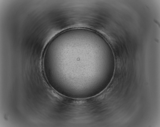 X0000091701278200708311045