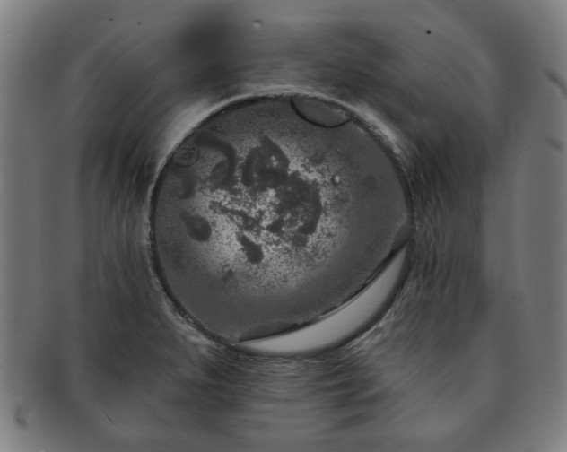 X0000091701279200708311045