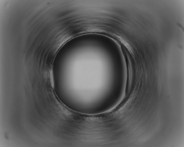 X0000091701281200708311045