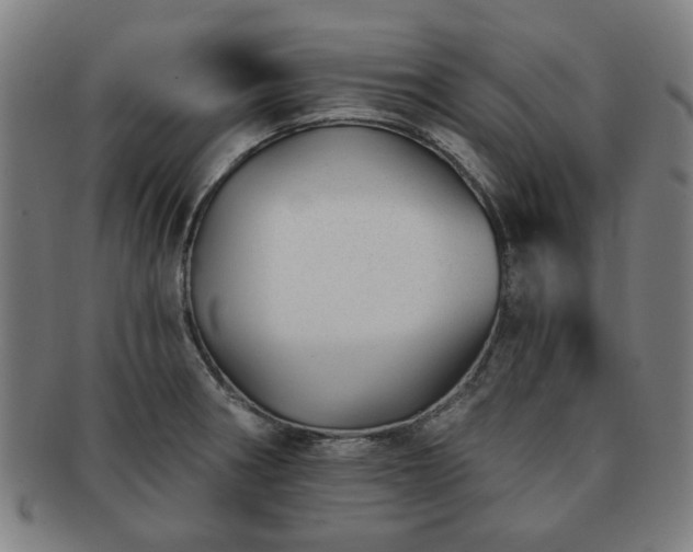 X0000091701282200708311045